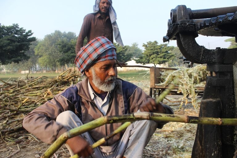 Wellhealthorganic.com:jaggery-with-incredible-health-benefits​