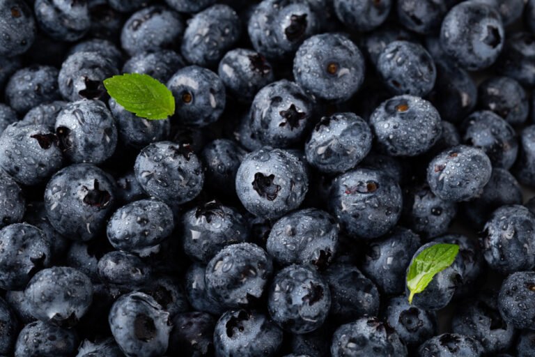 Wellhealthorganic.Com:Blueberry-Brain-Boosting-Benefits List